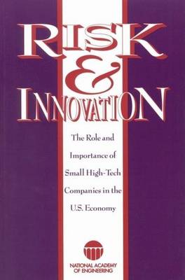 Book cover for Risk and Innovation: The Role and Importance of Small, High-Tech Companies in the U.S. Economy