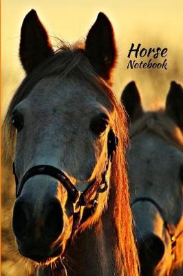 Book cover for Horse Notebook