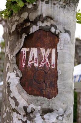 Book cover for Taxi Sign on a Tree Journal