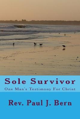 Book cover for Sole Survivor