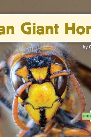 Cover of Incredible Insects: Asian Giant Hornet