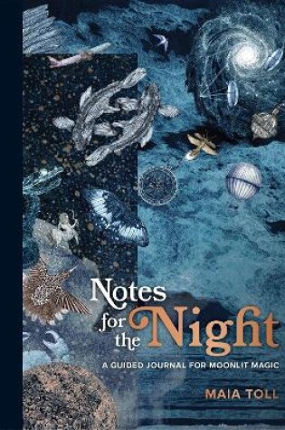 Cover of Notes for the Night