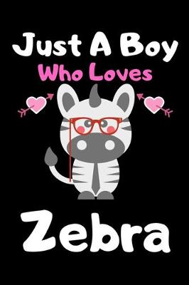 Book cover for Just a boy who loves zebra