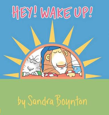 Book cover for Hey Wake Up