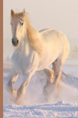 Book cover for Winter Wonderland - Beautiful White Horse Running in the Snow