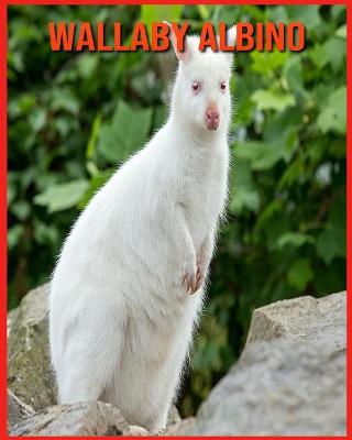 Book cover for Wallaby Albino