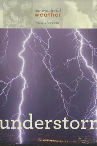 Cover of Thunderstorms