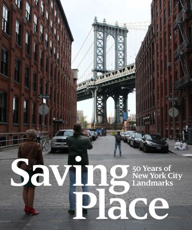 Book cover for Saving Place