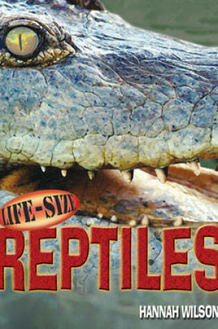 Cover of Life-Size Reptiles