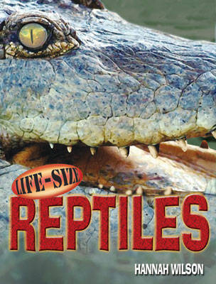 Book cover for Life-Size Reptiles