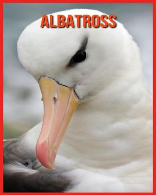 Book cover for Albatross