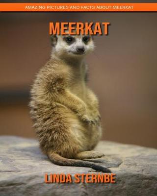 Book cover for Meerkat