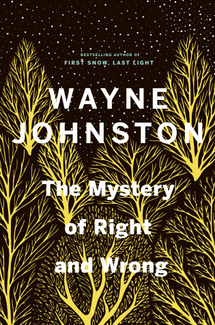 Cover of The Mystery of Right and Wrong