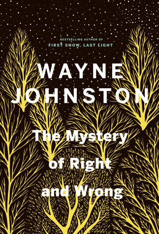 Book cover for The Mystery of Right and Wrong