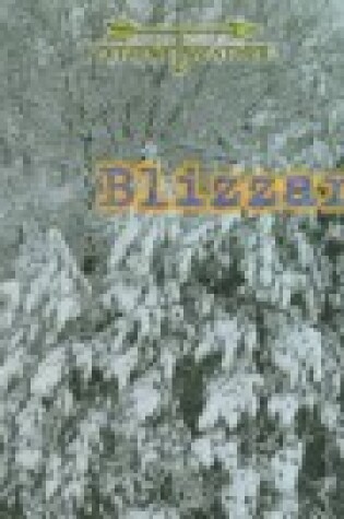 Cover of Blizzards