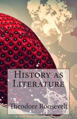 Book cover for History as Literature