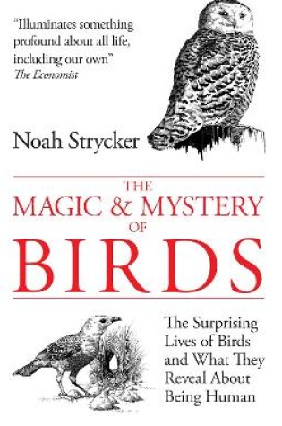 Cover of The Magic & Mystery of Birds