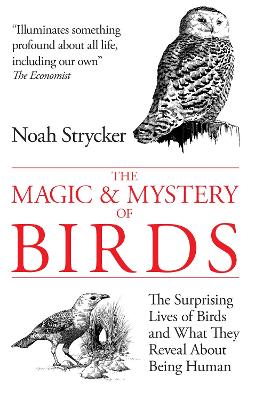 Book cover for The Magic & Mystery of Birds