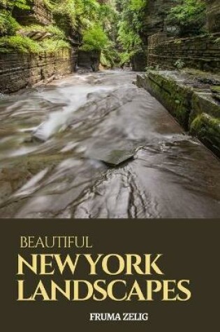 Cover of Beautiful New York Landscapes