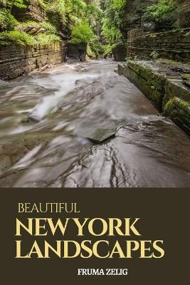 Book cover for Beautiful New York Landscapes