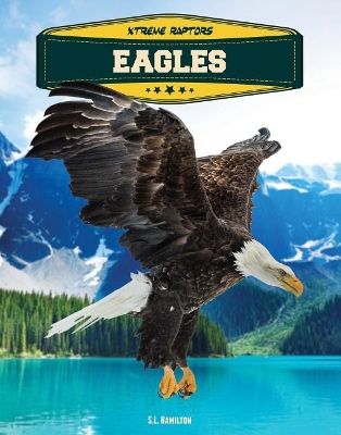 Book cover for Eagles