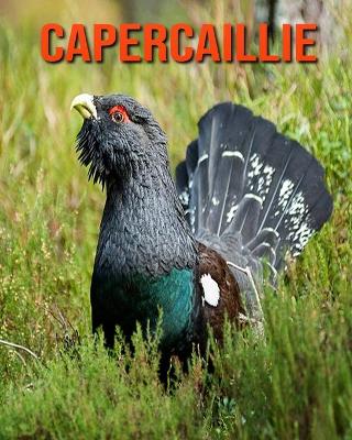 Book cover for Capercaillie