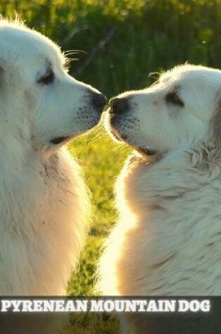 Cover of Pyrenean Mountain Dog