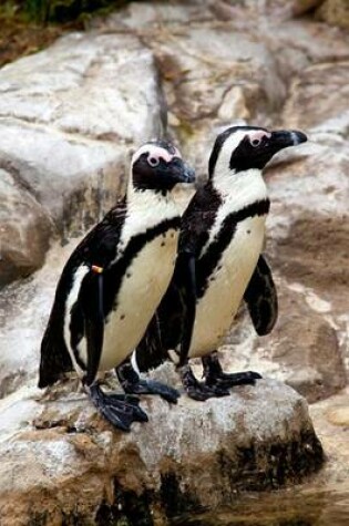 Cover of Two Black-Footed African Penguins Journal