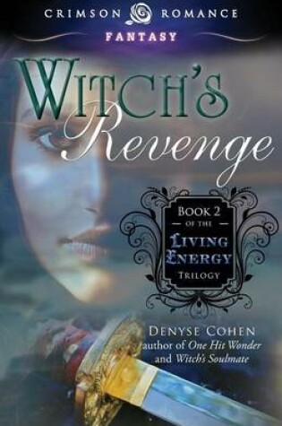 Cover of Witch's Revenge