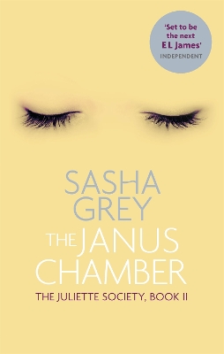 Book cover for The Janus Chamber
