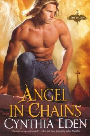 Cover of Angel In Chains