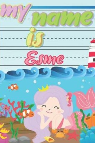 Cover of My Name is Esme