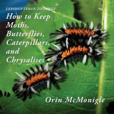 Book cover for Lepidopteran Zoology