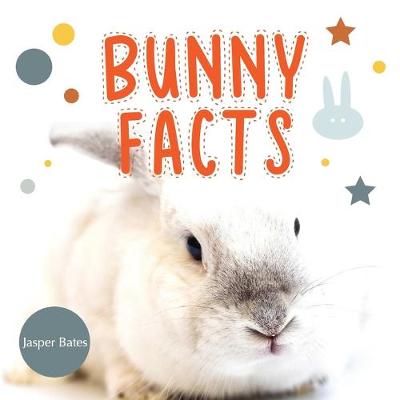 Cover of Bunny Facts