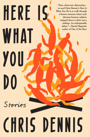 Cover of Here Is What You Do