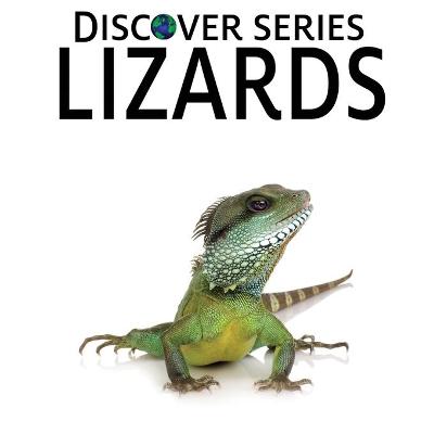 Book cover for Lizards