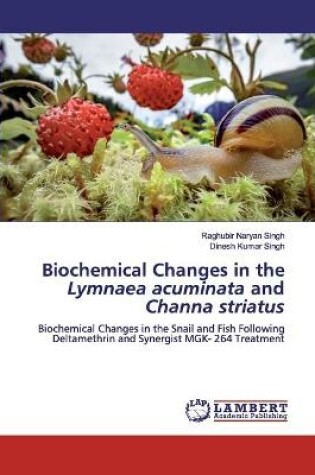 Cover of Biochemical Changes in the Lymnaea acuminata and Channa striatus