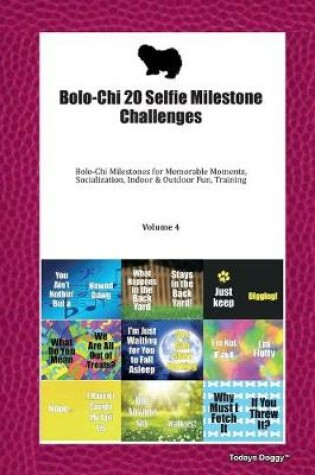 Cover of Bolo-Chi 20 Selfie Milestone Challenges