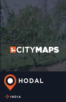 Book cover for City Maps Hodal India