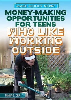 Book cover for Money-Making Opportunities for Teens Who Like Working Outside