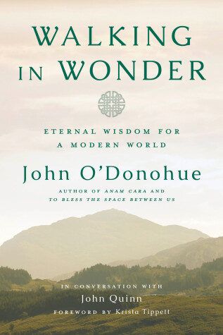 Book cover for Walking in Wonder