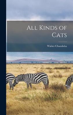 Book cover for All Kinds of Cats