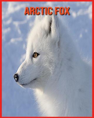 Book cover for Arctic Fox