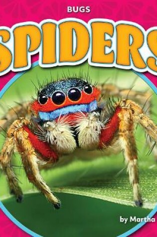 Cover of Spiders