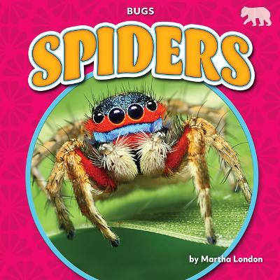 Book cover for Spiders