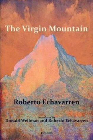 Cover of The Virgin Mountain