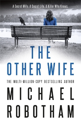 Book cover for The Other Wife