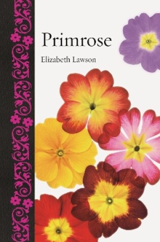 Cover of Primrose