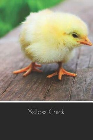 Cover of Yellow Chick