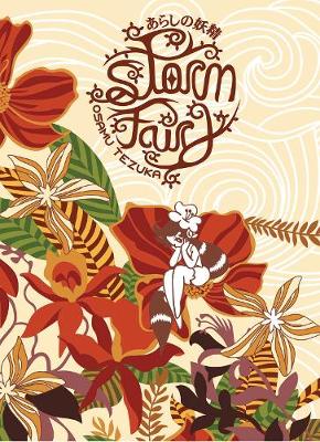 Book cover for Storm Fairy